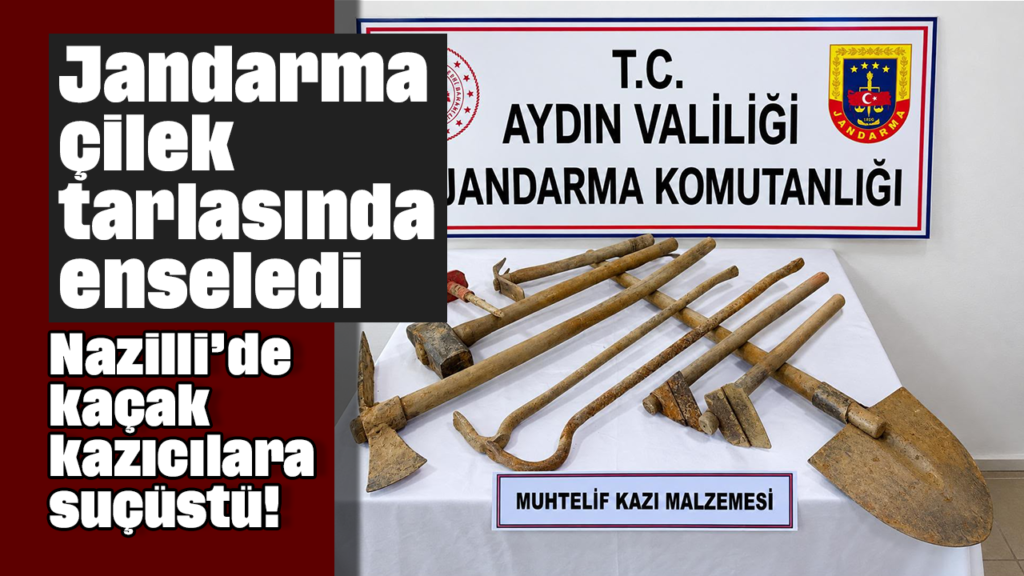 Nazilli’de Çilek Bahçesinde Kazı Yapan 6 Şüpheli Suçüstü Yakalandı