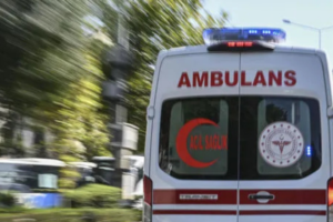 Şanlıurfa’da Koyun Sürüsüne