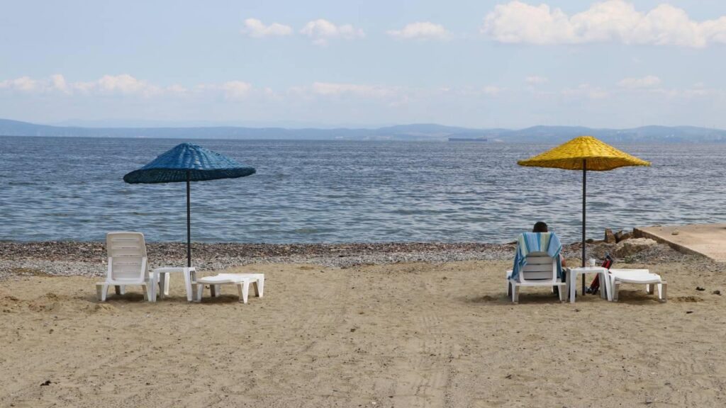 Sapanca’da 16 Yaşındaki Genç Annesini Öldürdü: Katil Evlat Aranıyor