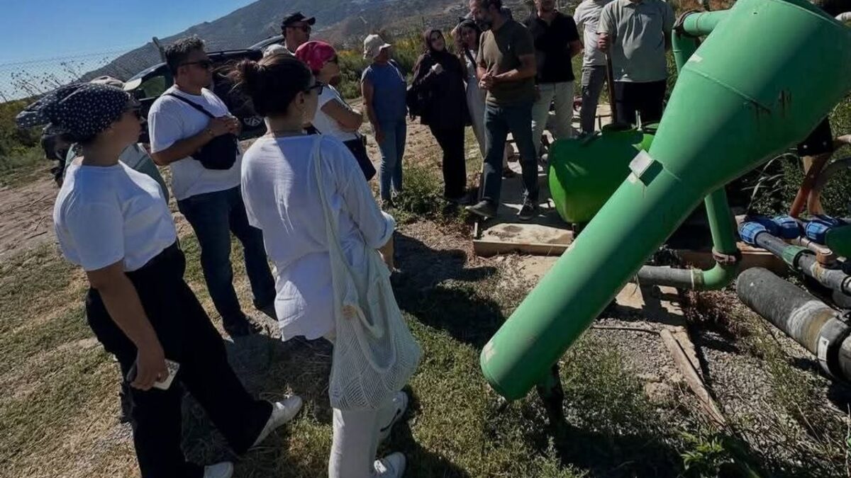 Söke Ovası'nda Tarımın