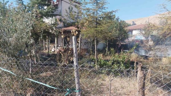 Sungurlu'da Bahçe Temizliği