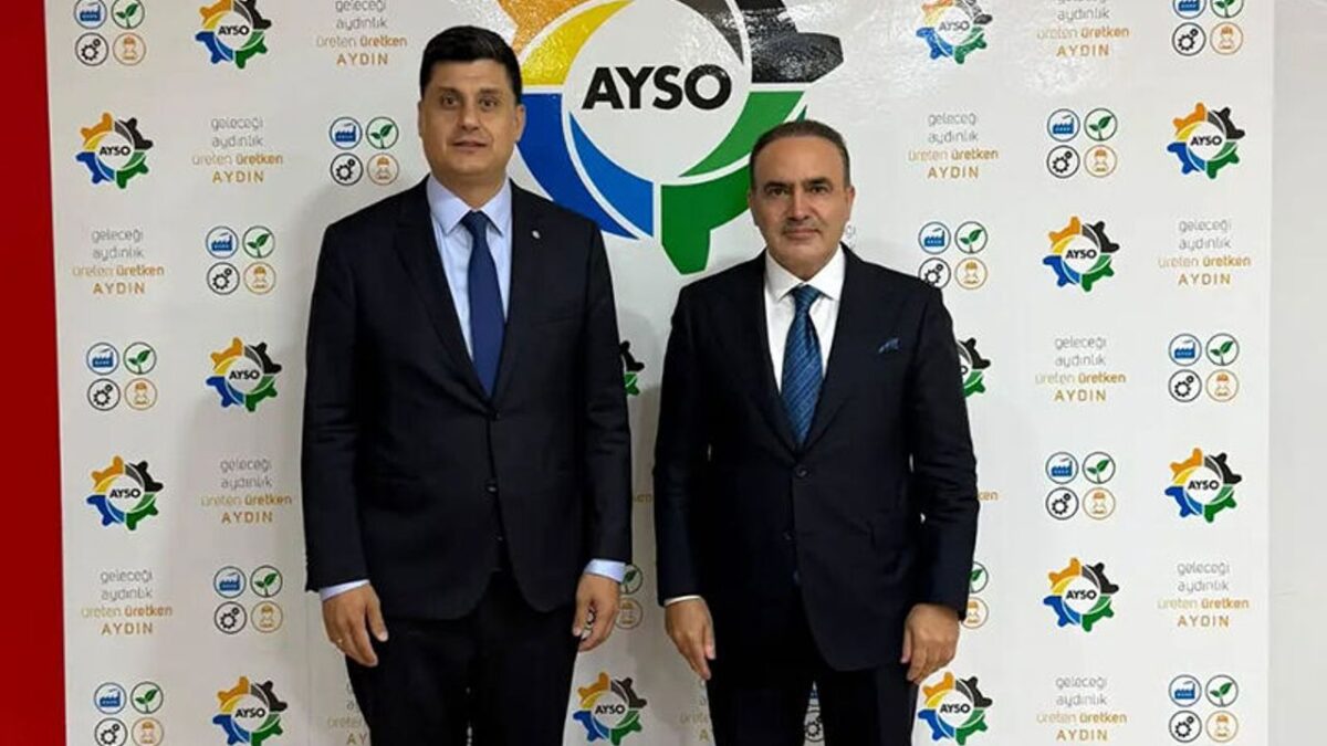 Tahir Çelik, Aydın