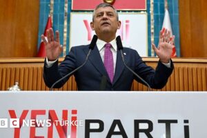 Yeni Parti, Kasım