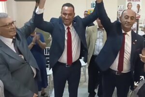 Yeni Parti Söke