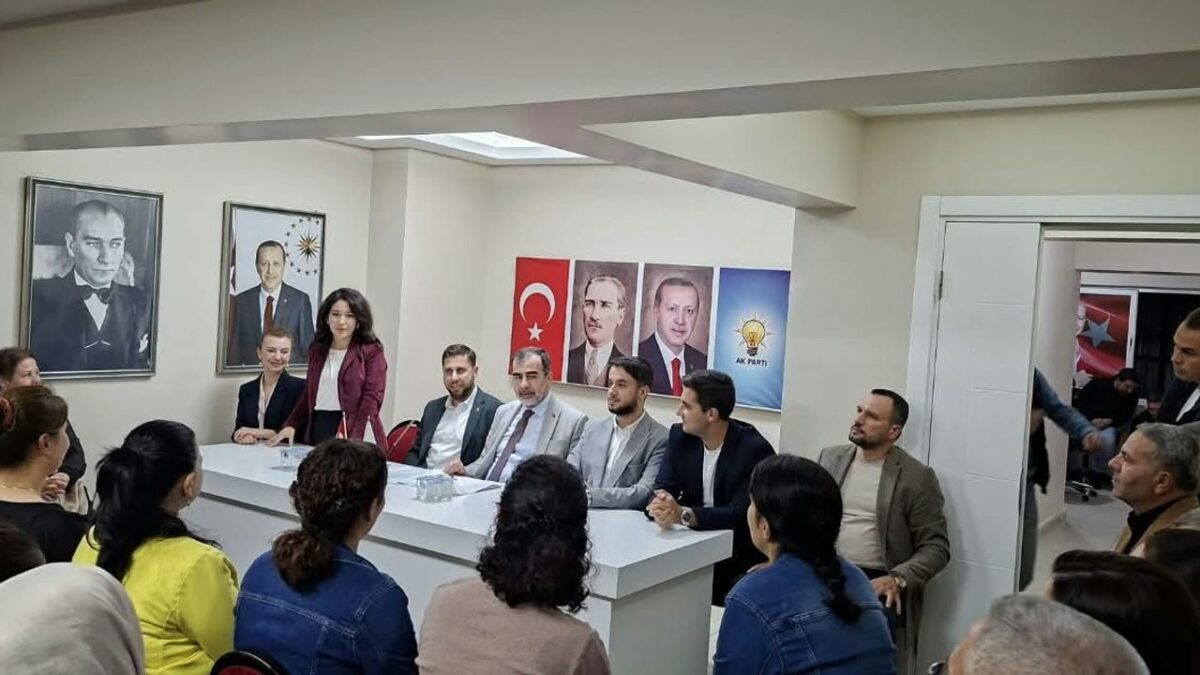 AK Parti Çine