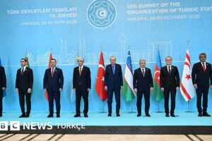 Aliyev Zirveye Katılmadı: