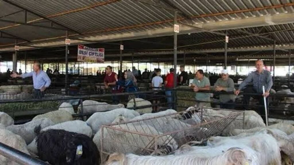 Aydın Büyükşehir Belediyesi'nden 17 ilçede yol yenileme çalışması
