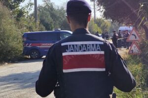 Aydın Nazilli'de Kestane