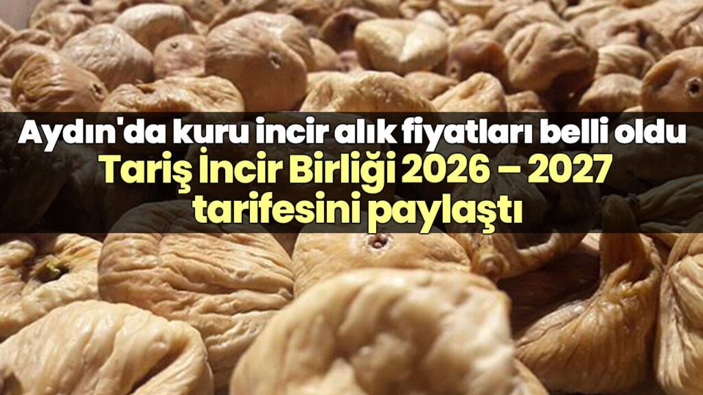 Aydın’da 2026‑2027 Kuru İncir Fiyatları Açıklandı: A1 250 TL