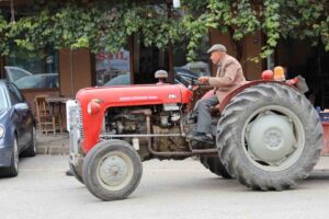 Aydın'da Ali Dede'nin