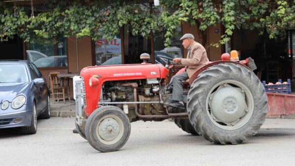 Aydın'da Ali Dede'nin