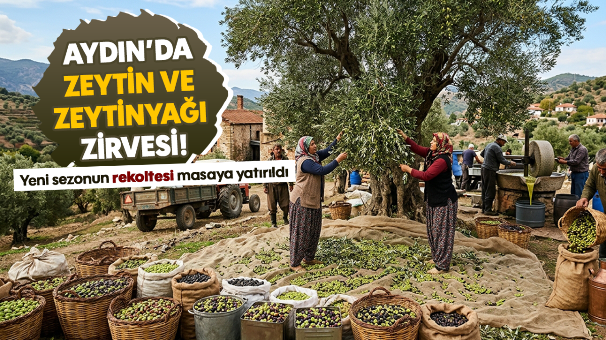 Aydın’da İncir Sektörünün