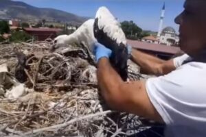 Aydın'da Plastik İp