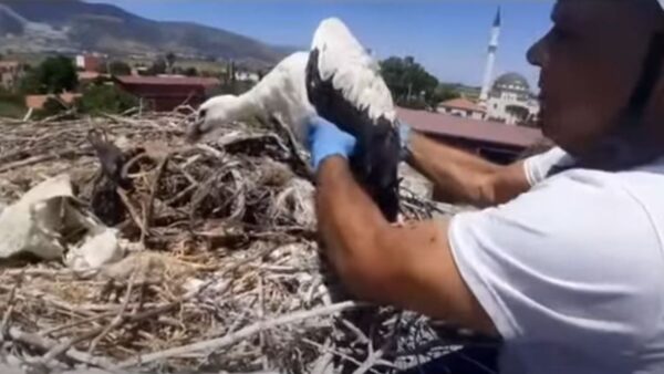 Aydın'da Plastik İp