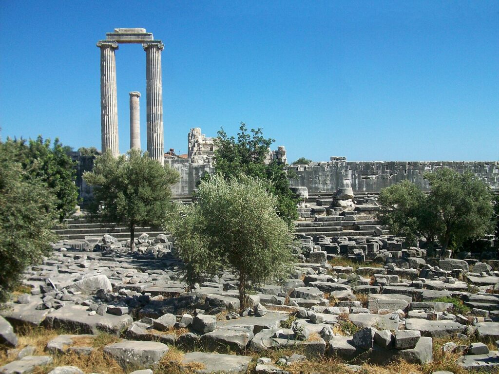 Aydınlı Üniversiteliler Didim Apollon Tapınağını İnceledi