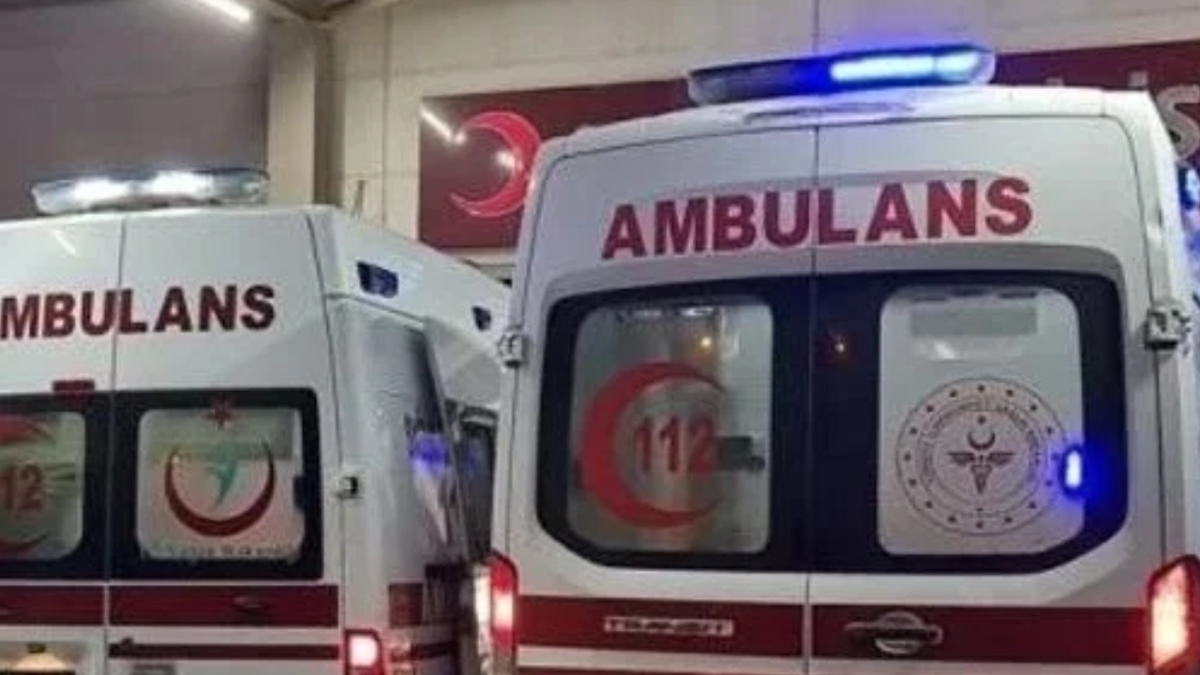 Bayramören'de Mantar Toplama