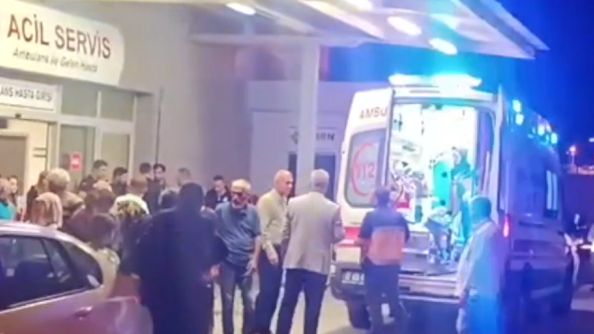 Birecik'te Şiddetli Otomobil