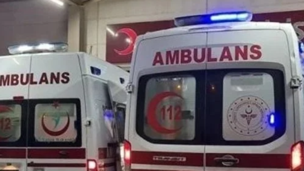 Çankırı Bayramören'de Mantar