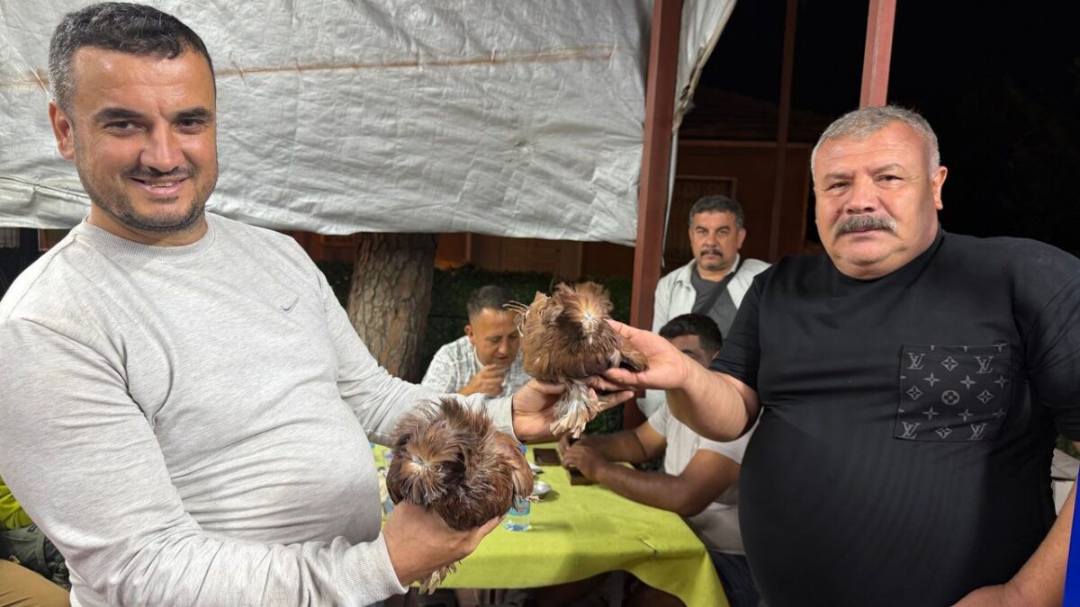 Çine’de Kanatlı Hayvan