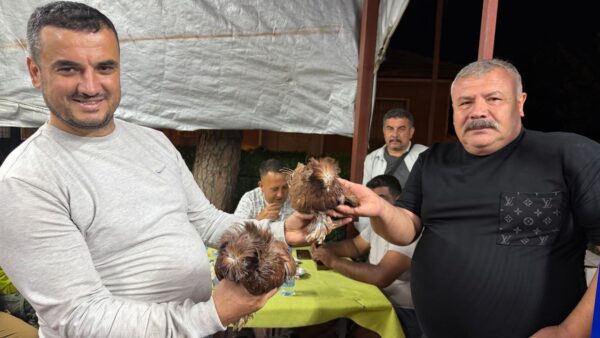 Çine’de Kanatlı Hayvan