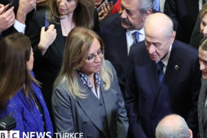 DEM Parti, Bahçeli'nin