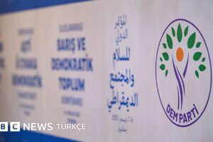 DEM Parti'ye Göre