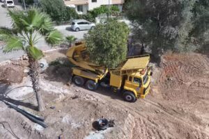 Didim Kaykay Parkı