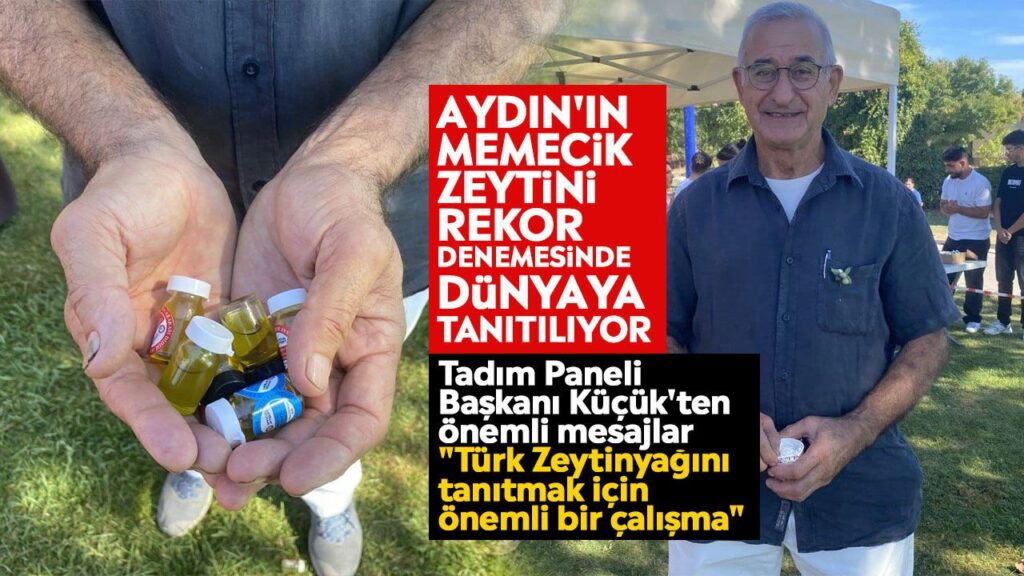 Didim Zeytin Festivali'nde Memecik Zeytini Guinness Rekoruyla Dünya Sahnesinde
