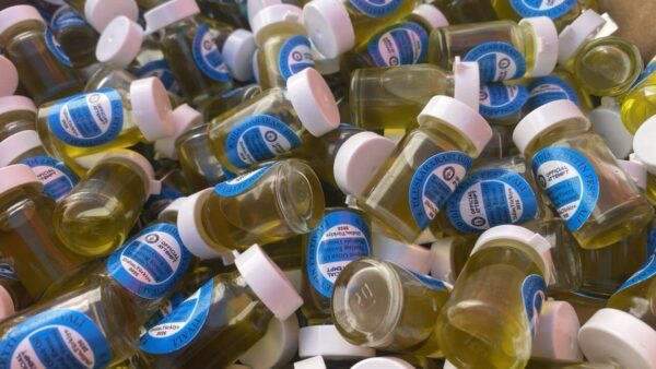 Didim Zeytin Festivali'nde