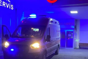 Düzce Yığılca’da Ormanlık