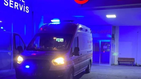 Düzce Yığılca’da Ormanlık