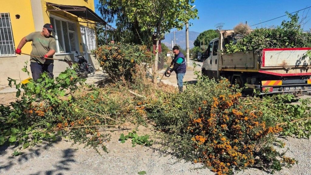 Efeler Belediyesi'nden Mahalle Mahalle Yeşil Alan Bakımı: Aydın’da Doğa Yeniden Canlanıyor