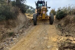 Efeler’de Tarım Yolları