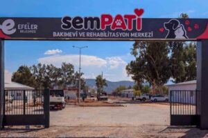 Efeler’de Yeni Sempati