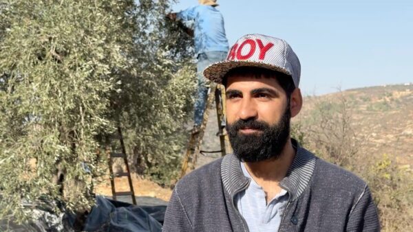 Emir Çelebi: Zeytin
