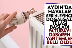 Eyüpsultan Belediye Başkanvekili