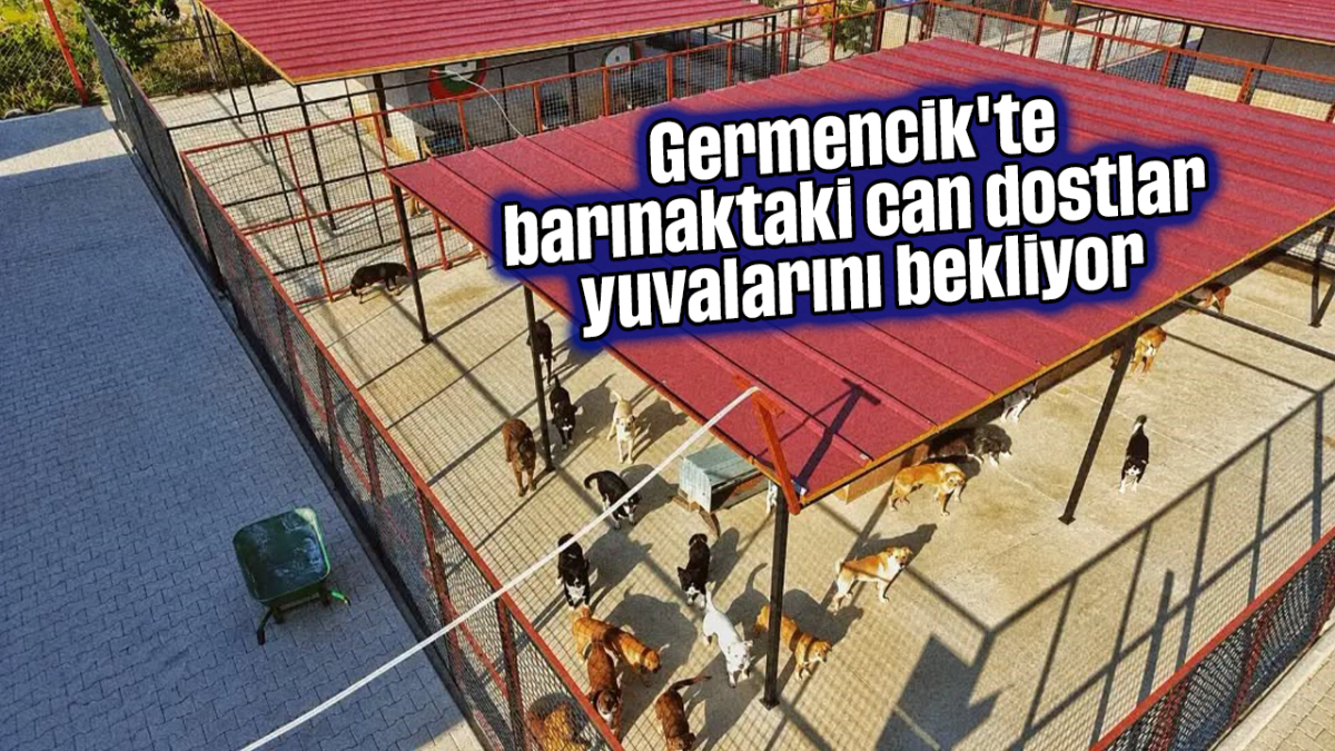 Germencik'te Can Dostlar