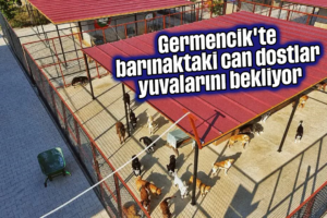 Germencik'te Can Dostlar