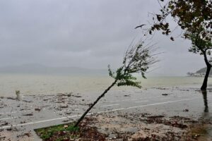 İstanbul'da Sel Bilançosu: