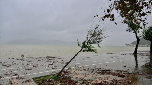İstanbul'da Sel Bilançosu: