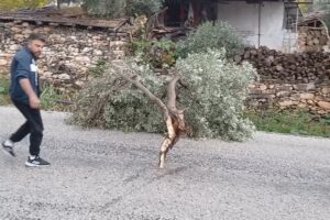 Karacasu’da Rüzgar Etkisiyle