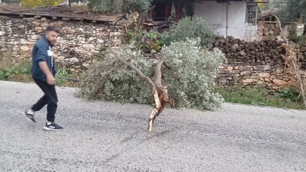 Karacasu’da Rüzgar Etkisiyle