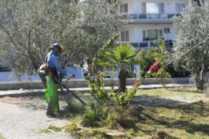 Kuşadası’nın Yeşil Dokusu