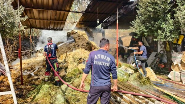 Nazilli Besi Çiftliği'nde