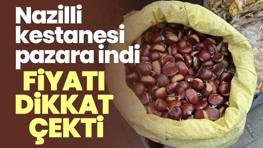 Nazilli Kestanesi Pazara İndi: 500 TL/kg Fiyatla İlk Gün Şoku