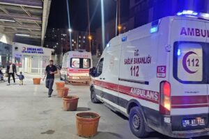 Siirt Kayabağlar’da 88