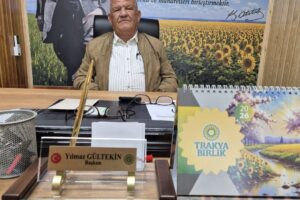 Söke Ovası'nda Ayçiçeği
