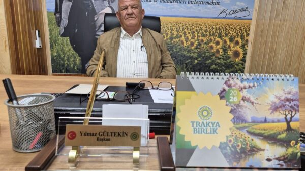 Söke Ovası'nda Ayçiçeği