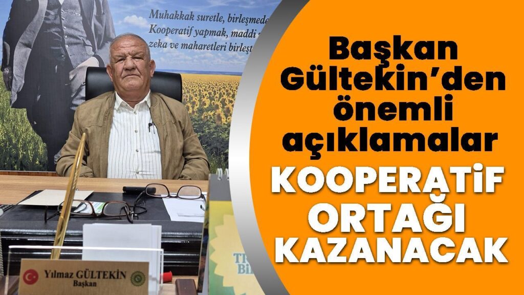 Söke Ovası'nda Ayçiçeği Hasadı: Trakya Birlik Fiyatı Açıkladı