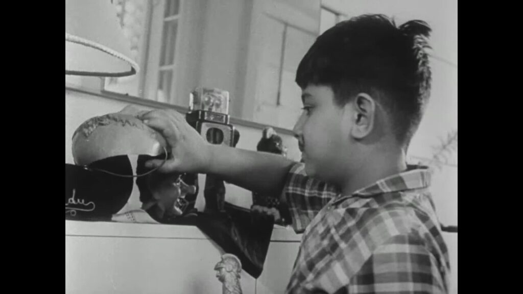 TRT Ortak Yapımı Üç Film Üç Ülkenin Oscar Adayı Oldu